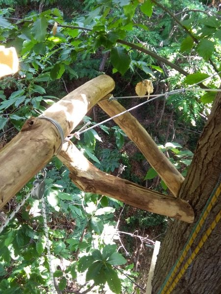Tree platform