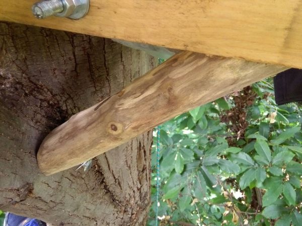 Tree platform