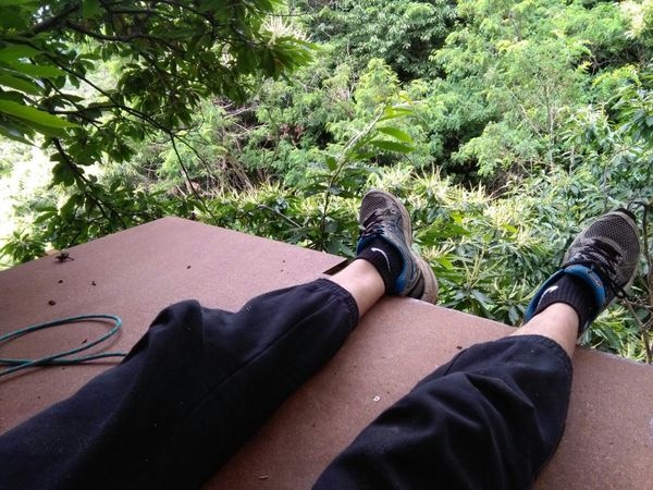 Tree platform