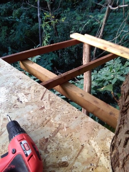 Tree platform