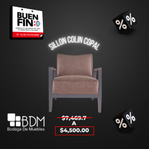 Sillon Promocion Buen Fin