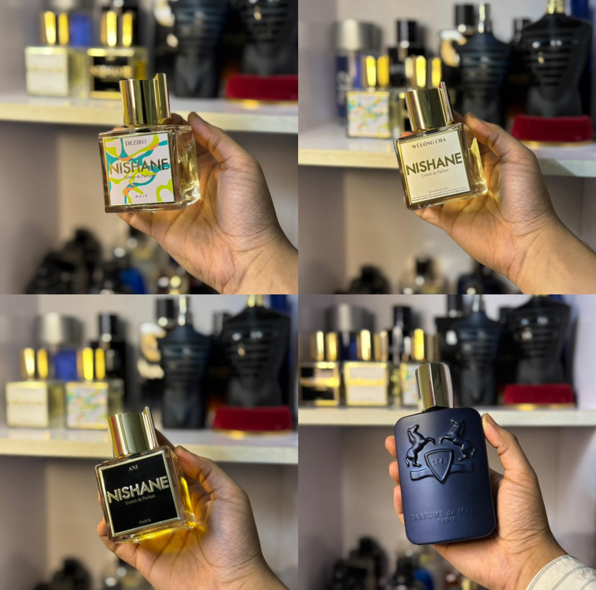 Niche Explorer