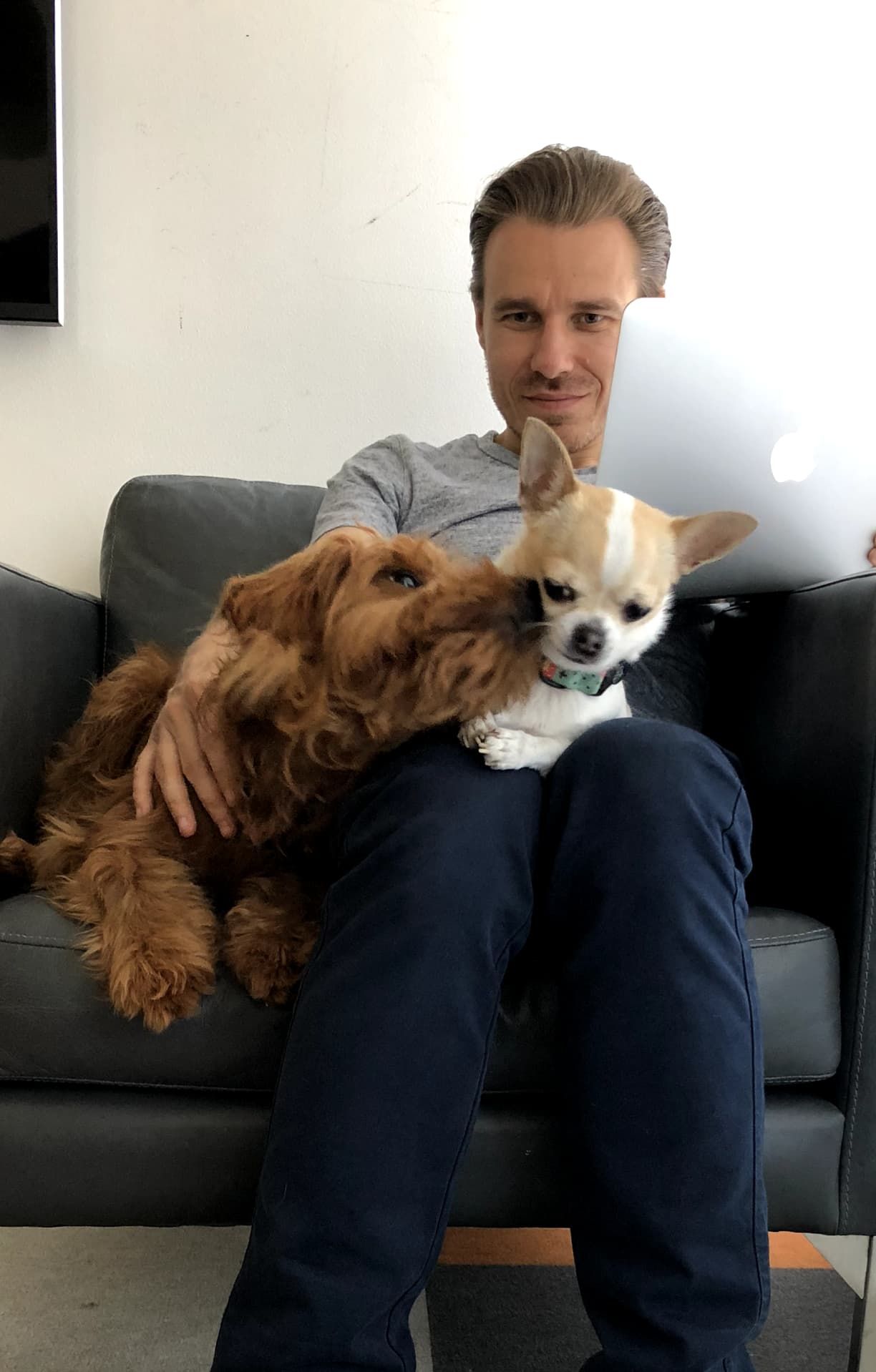 Ariel Ratajczak on an armchair with two dogs, their dog Nuki, and our office dog Chai.