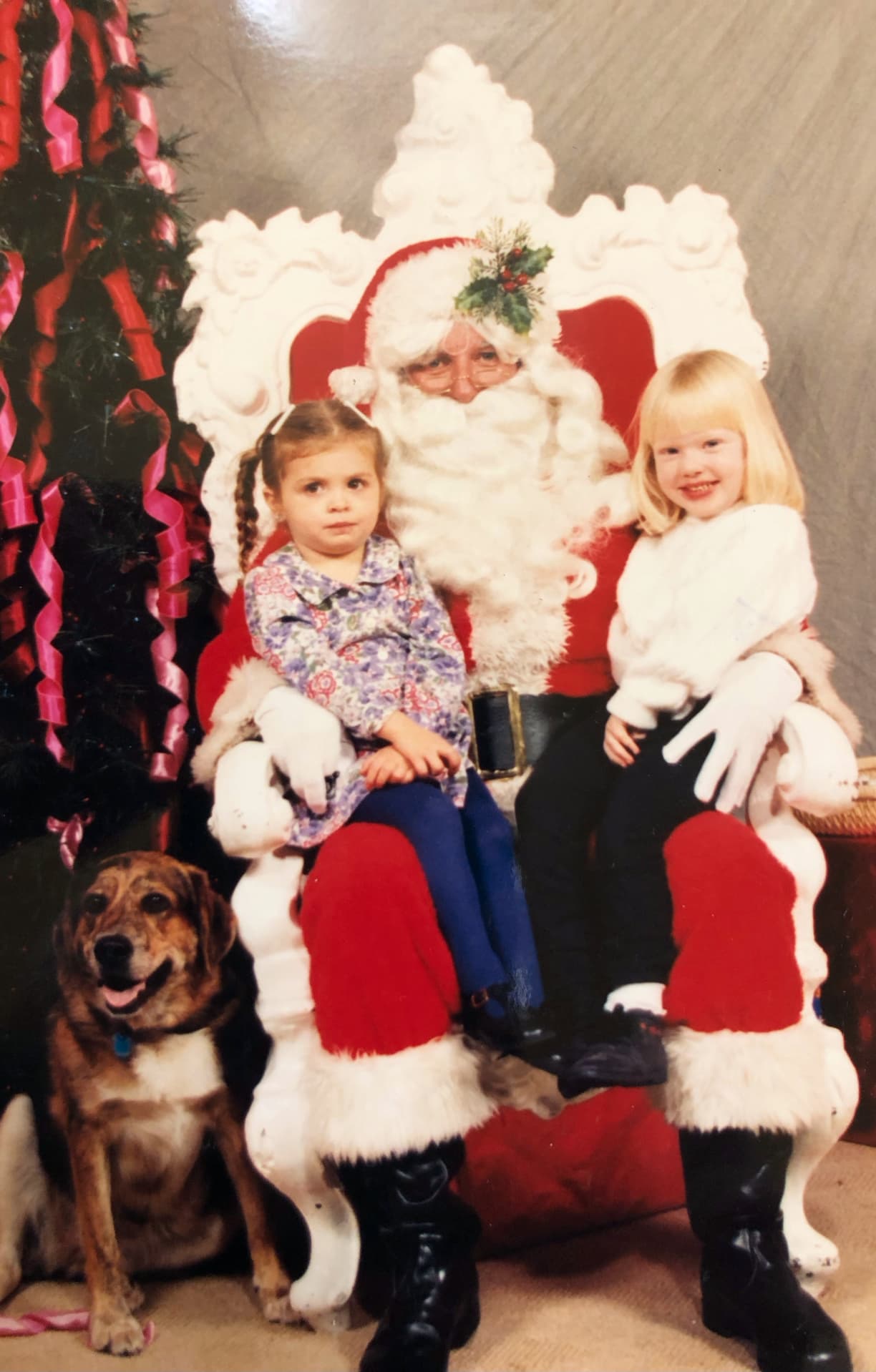 Two children and a dog posing for a picture with Santa.