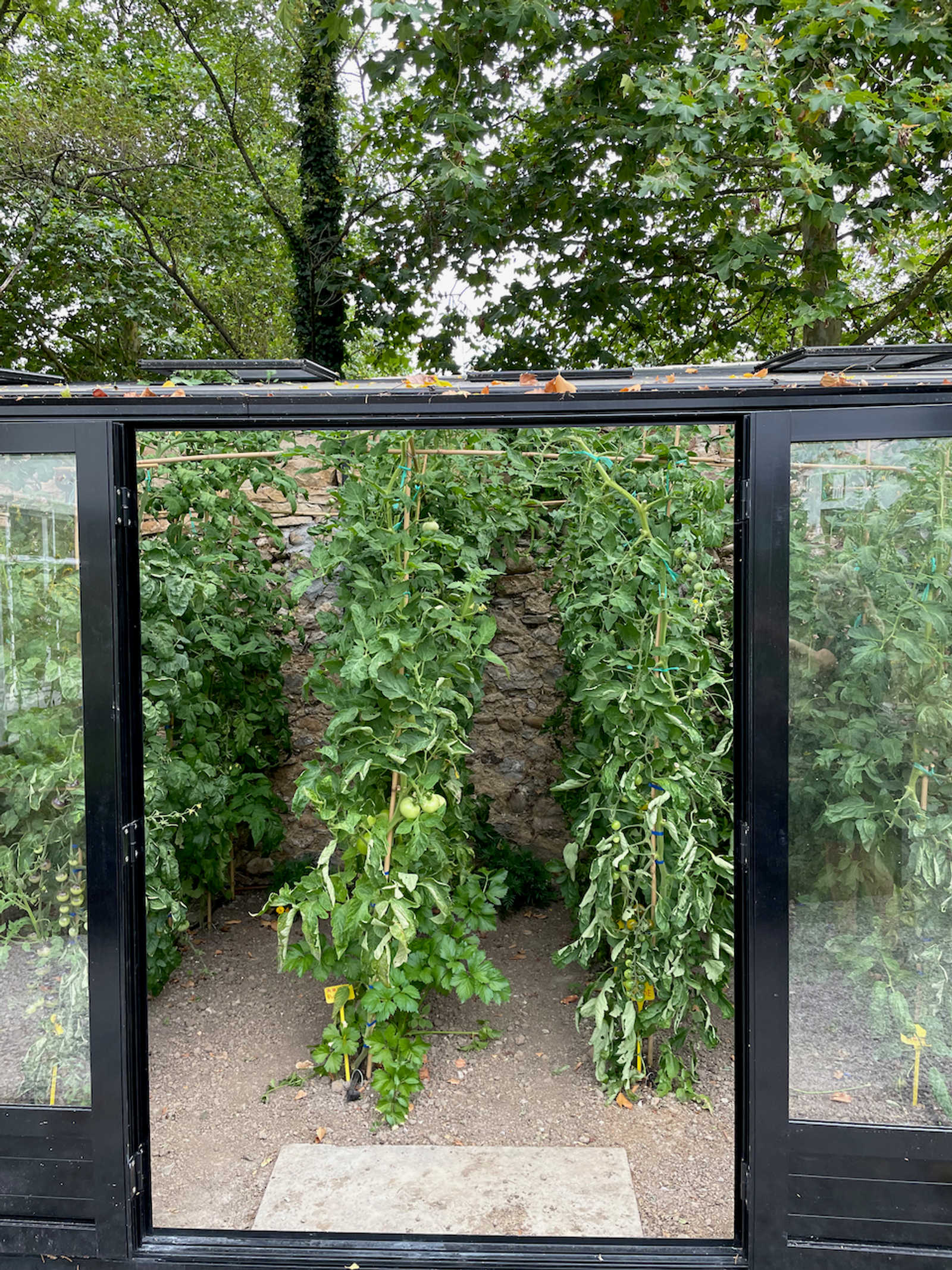 Image 13