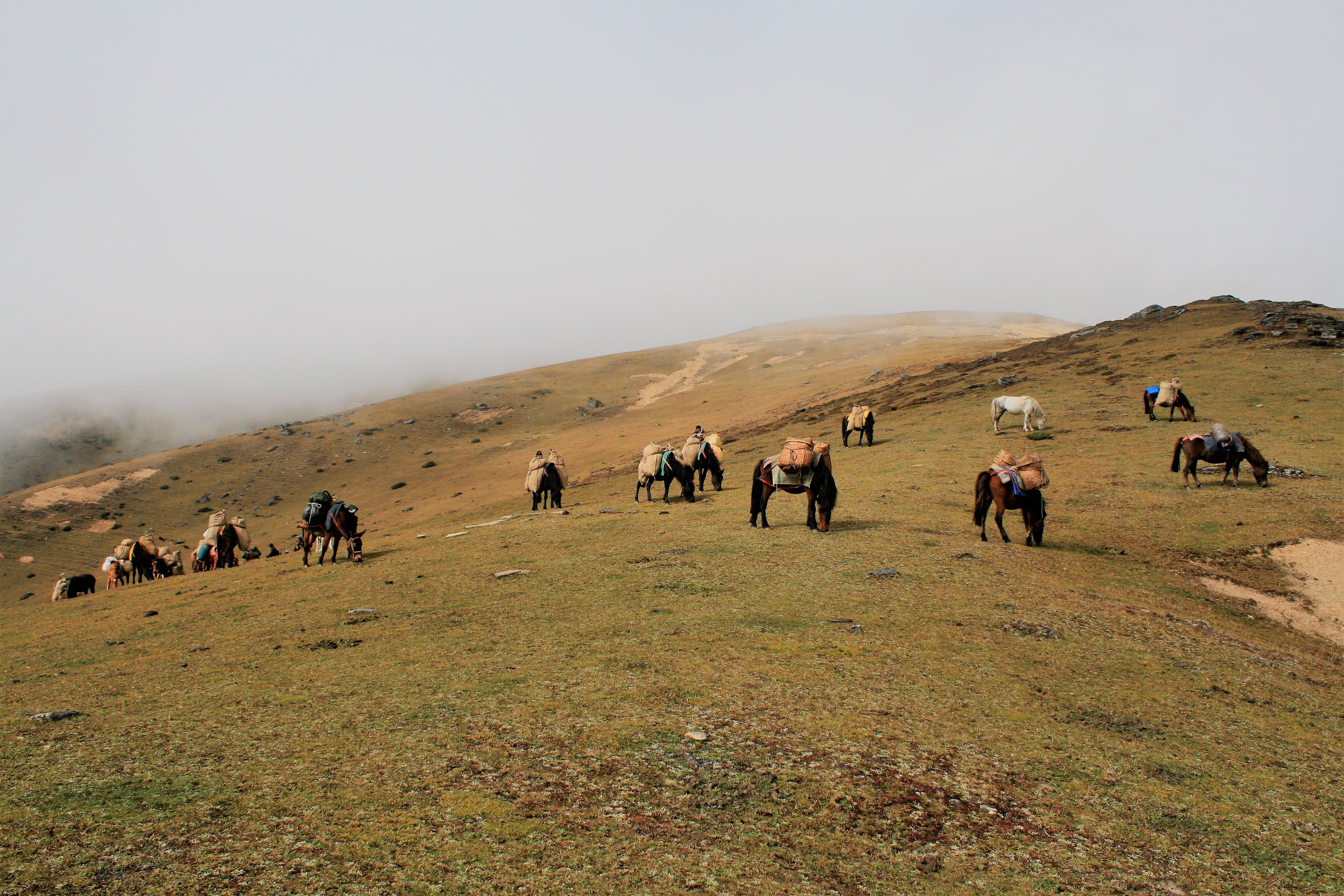 Dagala Thousand Lakes Trek
