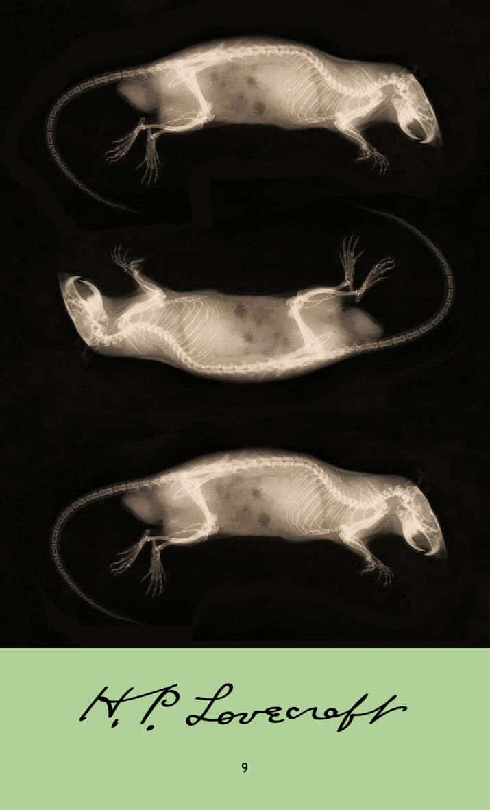 2024, Έξαρχου, Μαρία (Exarchou, Maria ?), H.P. Lovecraft: Τα ποντίκια στους τοίχους. Πέρα από το τείχος του ύπνου. Στην κρύπτη, , Howard Lovecraft, Οξύ - Brainfood