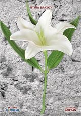 Μία είναι η εντολή, , Βλάχου, Ντίνα, Καμπύλη, 2015