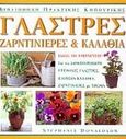 Γλάστρες, ζαρντινιέρες και καλάθια, , Donaldson, Stephanie, Ίριδα, 2001