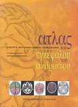 Άτλας του εγκεφάλου του ανθρώπου, , Συλλογικό έργο, Ιατρικές Εκδόσεις Π. Χ. Πασχαλίδης, 2008
