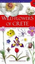 Wild Flowers of Crete, , Παπιομύτογλου, Βαγγέλης, Mediterraneo Editions, 2006