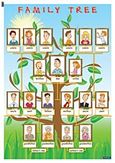 Family Tree, , , Σμυρνιωτάκη, 2010