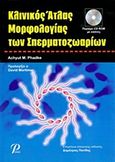 Κλινικός άτλας μορφολογίας των σπερματοζωαρίων, , Phadke, Achyut M., Εκδόσεις Ροτόντα, 2011