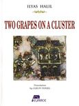 Two Grapes on a Cluster, , Halil, Ilyas, Ευρωπαϊκό Κέντρο Τέχνης - Euarce, 2014
