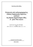 Επισκευές από χαλκογραφημένες πλάκες παραγωγής χάρτινων εικόνων της Μονής Ξηροποτάμου Άθω, β΄μισό 19ου αιώνα, , Μπονόβας, Νίκος, Βυζαντινός Δόμος, 2019