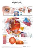 Οφθαλμός: Ανατομικός χάρτης, , , Παρισιάνου Α.Ε., 2021