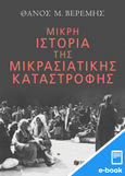 Μικρή ιστορία της Μικρασιατικής καταστροφής, , Βερέμης, Θάνος Μ., Εκδόσεις Πατάκη, 2022