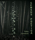 Sensus poetica, , Γκέντσου, Βάλια, iFocus, 2024