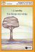 1996, Ιωαννίδης, Ιωάννης Δ. (Ioannidis, Ioannis D.), Ένα δέντρο στο ποτάμι, , Ιωαννίδης, Ιωάννης Δ., Εκδόσεις Πατάκη