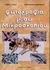 2000, Χριστόπουλος, Δημοσθένης (Christopoulos, Dimosthenis), Φωτογραφία μέσω μικροσκοπίου, , Λοϊζίδης, Παύλος, Ίων