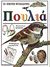 1993, Gedye, Jane (Gedye, Jane), Πουλιά, Κατασκευές και δραστηριότητες: Περιγραφή και καταγραφή πουλιών, Bailey, Jill, Ερευνητές
