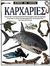 1997, Αϊλαμάκη, Κυριακή (Ailamaki, Kyriaki), Καρχαρίες, Ανακαλύψτε το συναρπαστικό και ποικιλόμορφο κόσμο του καρχαρία, τη φυσική του ιστορία, τη συμπεριφορά του και τη μυστική του ζωή κάτω από το νερό, MacQuitty, Miranda, Ερευνητές
