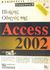 2002, Andersen, Virginia (Andersen, Virginia), Πλήρης οδηγός της Access 2002, , Andersen, Virginia, Γκιούρδας Β.