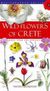 2006, Παπιομύτογλου, Βαγγέλης (Papiomytoglou, Vangelis ?), Wild Flowers of Crete, , Παπιομύτογλου, Βαγγέλης, Mediterraneo Editions