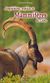 2008, Μπούνας, Αναστάσιος (Mpounas, Anastasios ?), Amphibiens, reptiles et mammiferes de Crete, , Σακούλης, Αναστάσιος, Mystis Editions
