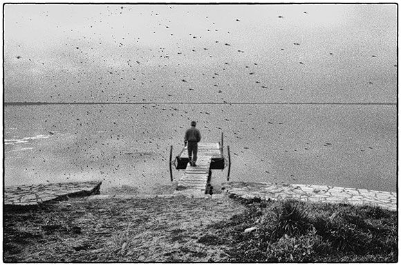 Ανδρέας Ζαχαράτος, εκδόσεις Τόπος