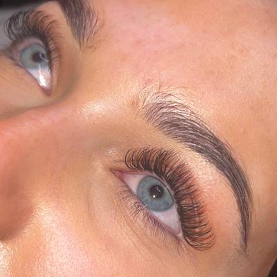 Classic Lashes 