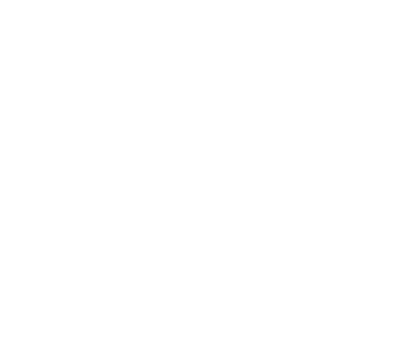 Logo & Huisstijl icon