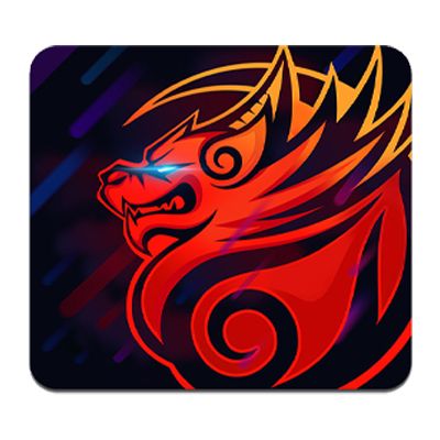 Botra Computer OEM Dragon