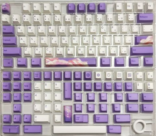Botra Computer Light Purple
