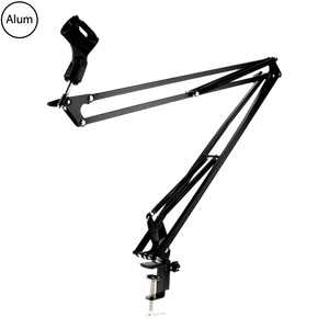 Bemorergo Essential Microphone Mount