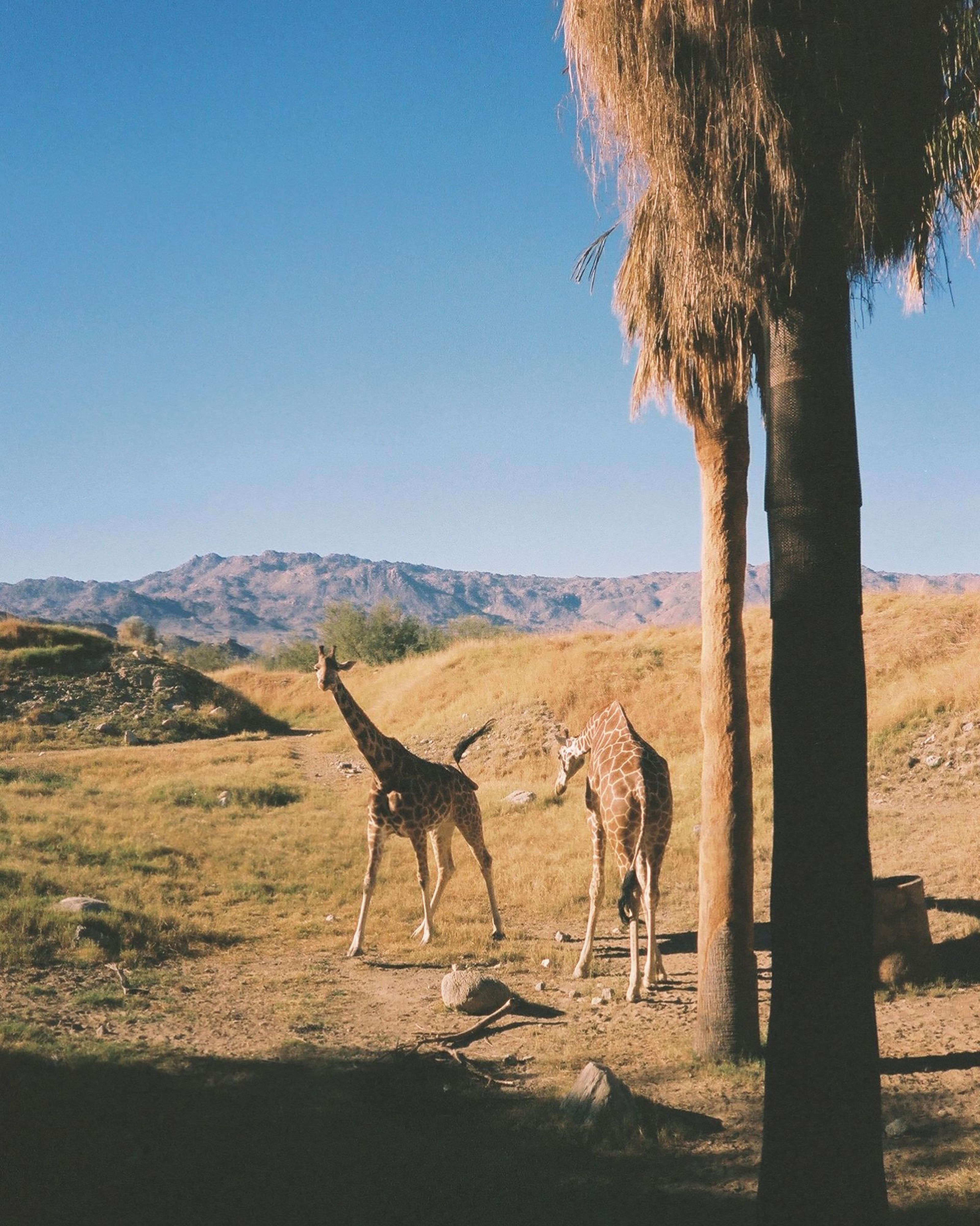 Living Desert

Photo: Ally Walsh