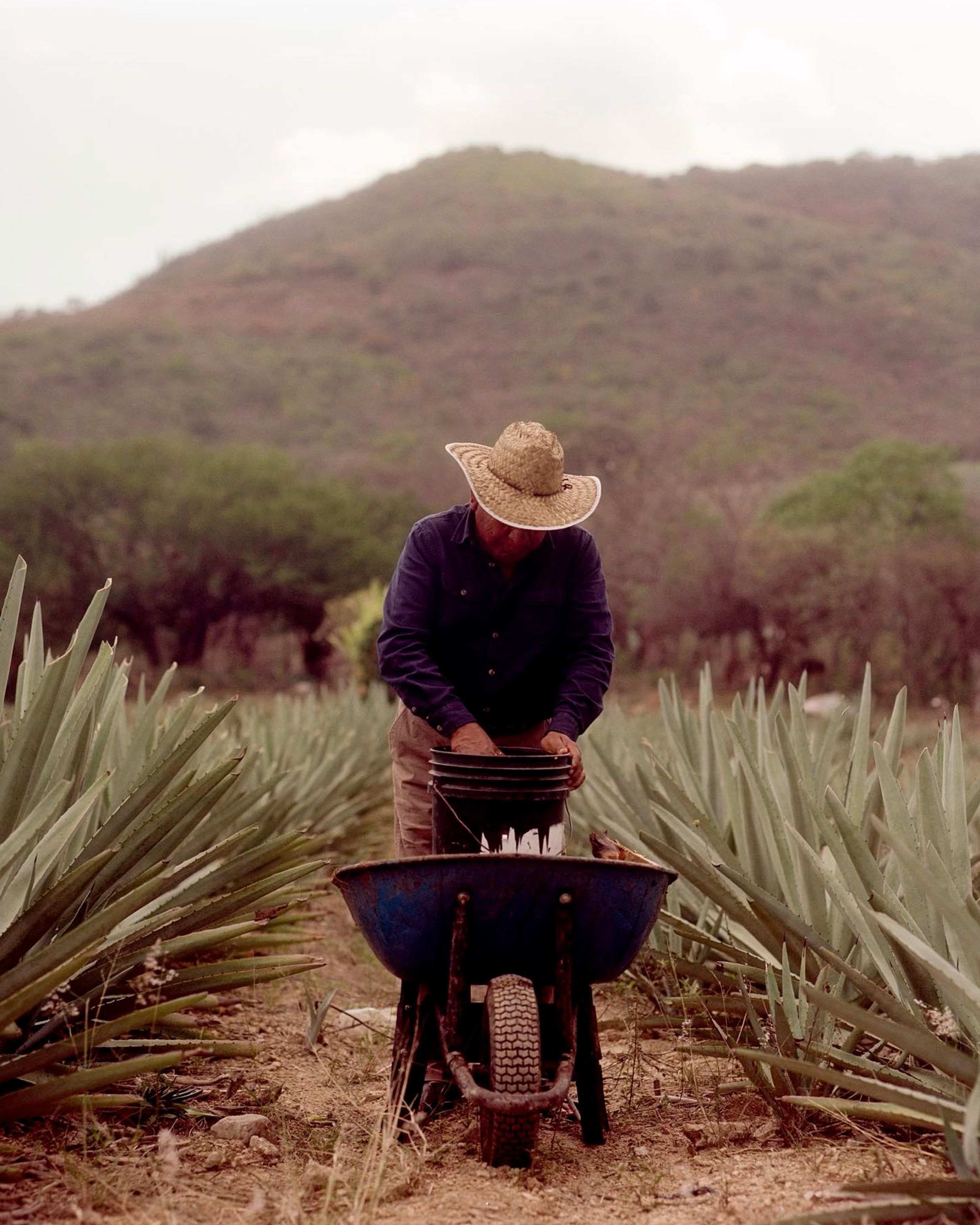 Photo: Yola Mezcal @yolamezcal