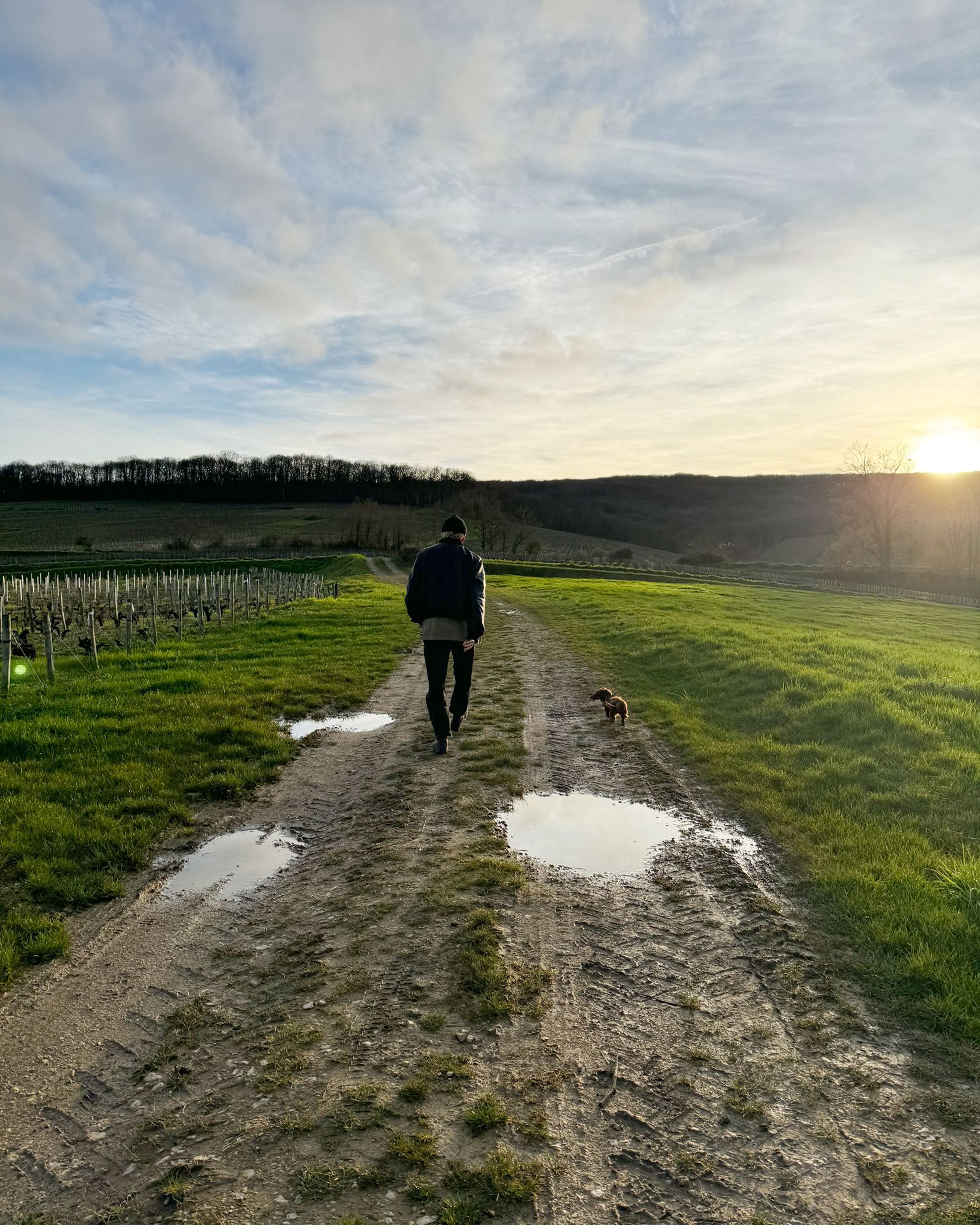 Ben Willett and weenie Tuna exploring the vineyards of Sancerre

Photo: Molly Baz @mollybaz