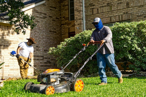 Landscaping & Lawn Care