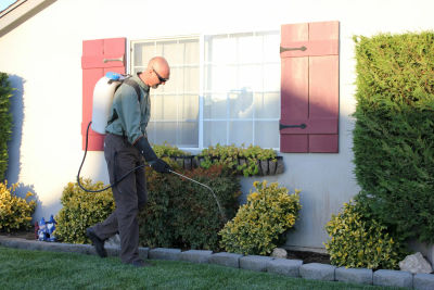 Pest control technician spraying around the outside of a house