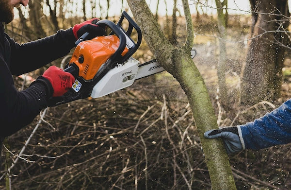Tree Removal Services