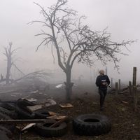 Найкращий іноземний фільм 2024