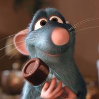 Personas y animales