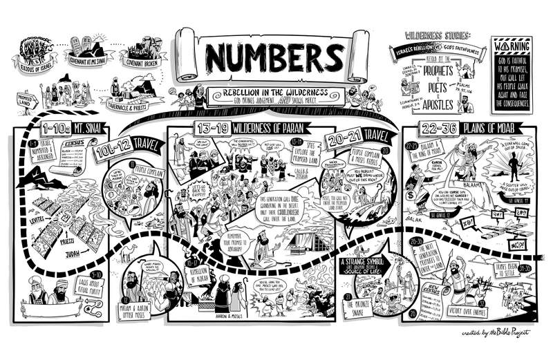 Numbers