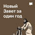 Новый Завет за один год