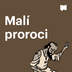 Malí proroci