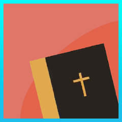 Bible Basics: Choosing a Translation