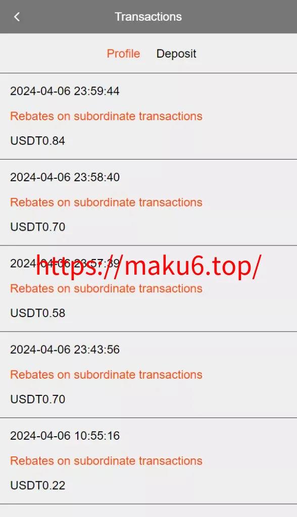 【海外tiktok刷单】客定版+vue全开源+连单+十三国语言包
