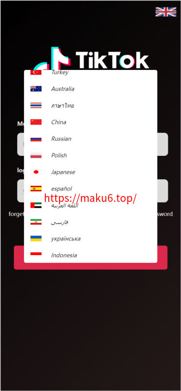新版多语言/海外tiktok抢单刷单系统/刷单打针