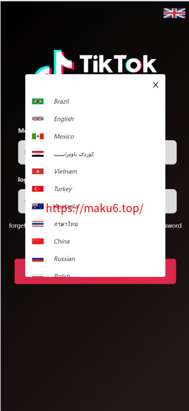 新版多语言/海外tiktok抢单刷单系统/刷单打针